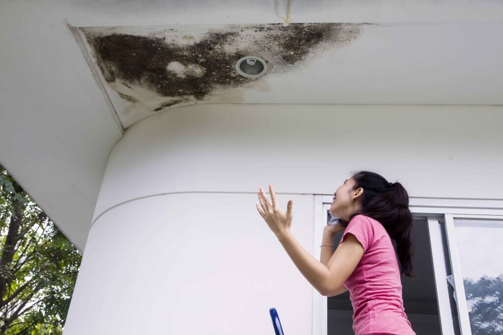 How to Fix a Roof Leak in One Spot