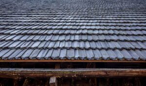 Homeowner demonstrating how do you clean a shingle roof safely using eco-friendly tools