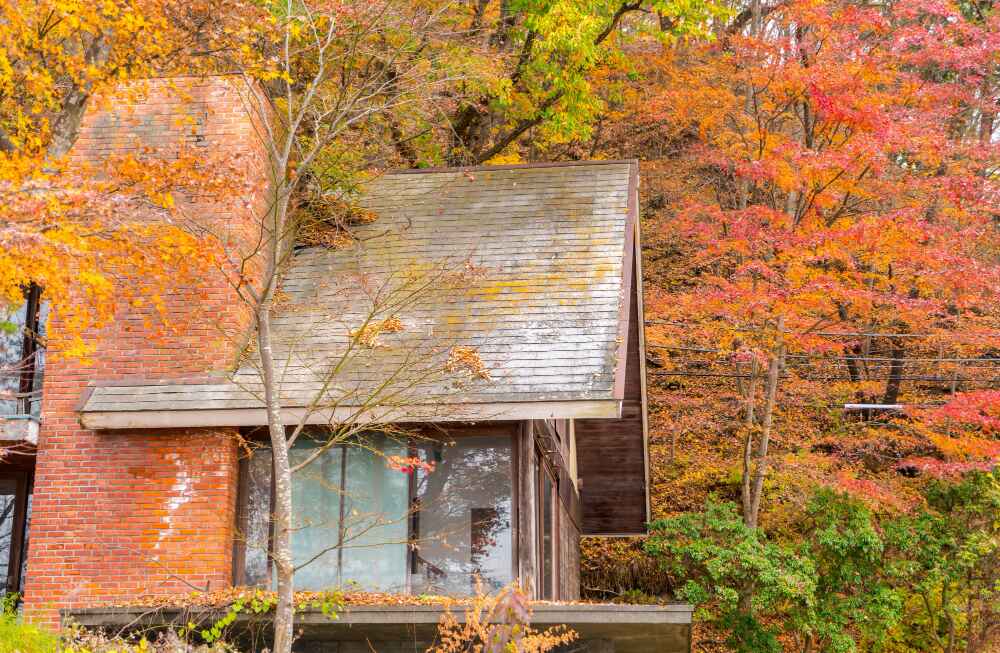 Autumn Roofing
