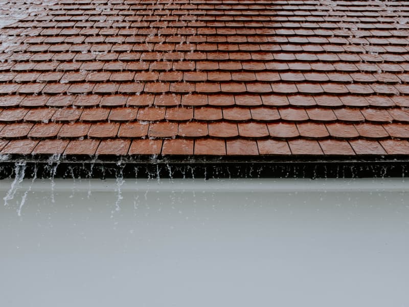 Gutter cleaning and drainage management